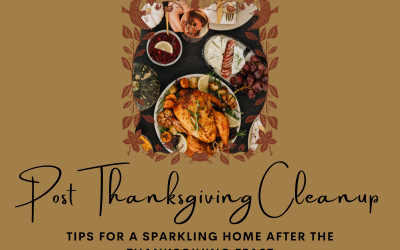Tips for a Sparkling Home After the Thanksgiving  Feast