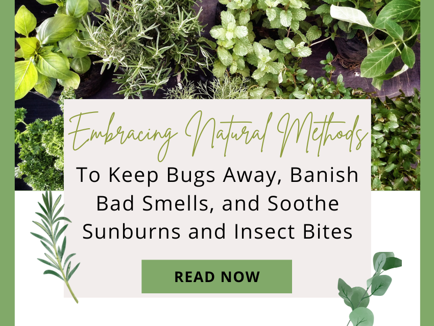 white and green background with botanicals and the words