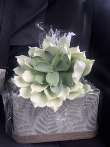 green succulent flower on box with ferns wrapped in cellphonae